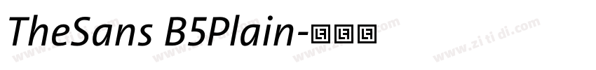 TheSans B5Plain字体转换
